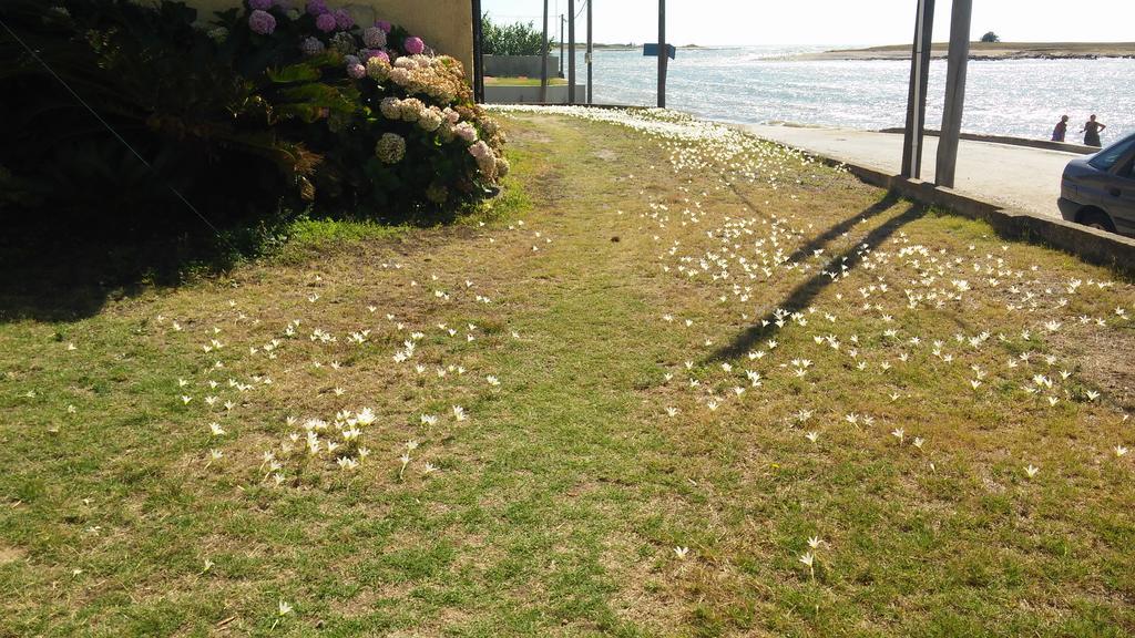 Hotel La Tuna La Paloma Dış mekan fotoğraf
