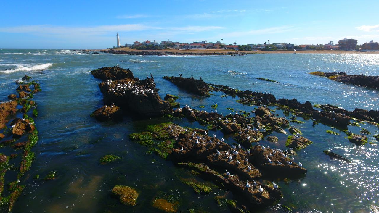 Hotel La Tuna La Paloma Dış mekan fotoğraf