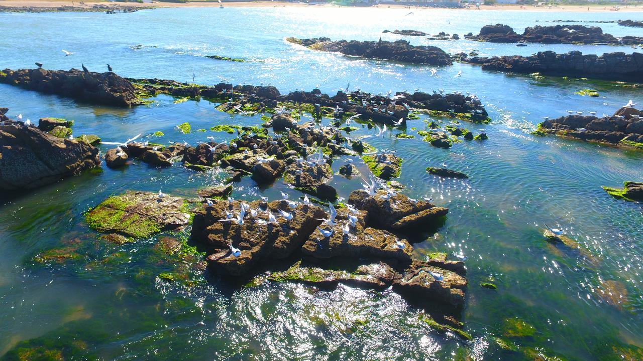 Hotel La Tuna La Paloma Dış mekan fotoğraf